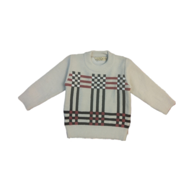 پلیور پسرانه مدل Bri