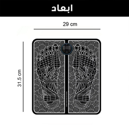 ماساژور برقی مدل EMS کد FM-RIMO