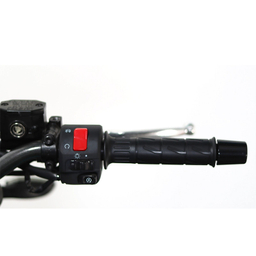موتورسیکلت جهانرو  مدل CF MOTO150 NK سال 1403