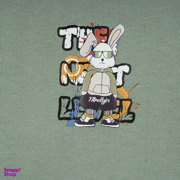 سویشرت پسرانه فیورلا مدل خرگوش قهرمان کد 35533