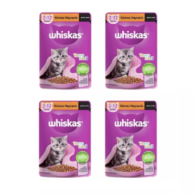 پوچ بچه گربه ویسکاس طعم گوشت ماکیان وزن 85 گرم بسته 4 عددی