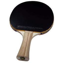 راکت پینگ پنگ استیگا کد V.M 2