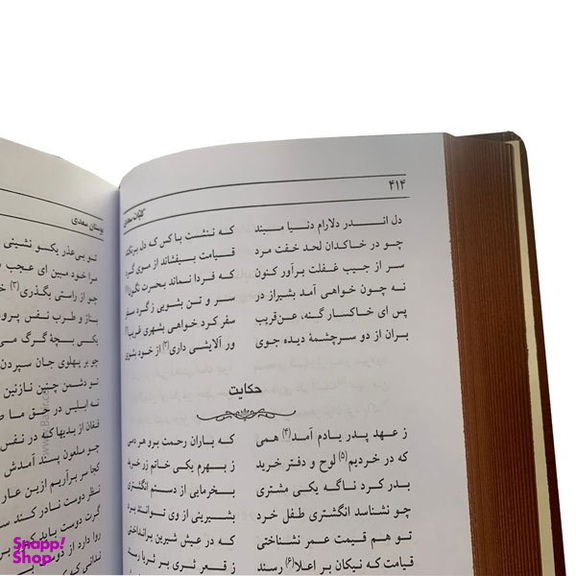 کتاب کلیات سعدی نفیس جلد چرمی انتشارات بصیر