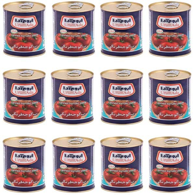 کنسرو رب گوجه فرنگی اروم آدا وزن 800 گرم 12 عددی