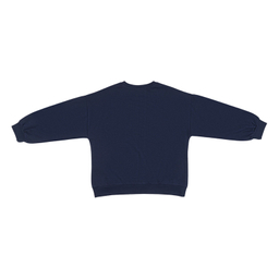 سویشرت پسرانه فیورلا مدل پاییزی کد 45586