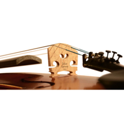 ویولن تی اف مدل 142 سایز 2/4