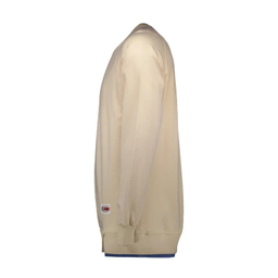 سویشرت مردانه مدل GD-s-17291967 رنگ کرم