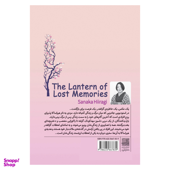 کتاب خاطرات گمشده اثر ساناکا هیراگی انتشارات دانش آفرین فانوس