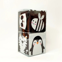 بازی آموزشی انتشارات ماه کوچولو مدل مکعب جغجغه ای بسته 2 عددی