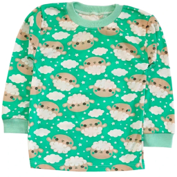 ست تیشرت آستین بلند و شلوار راحتی نوزادی مدل ببعی کد 4156 رنگ سبز