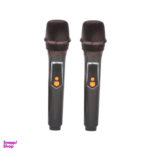 اسپیکر بلوتوثی قابل حمل بی تی اس مدل BTS2255 به همراه میکروفون