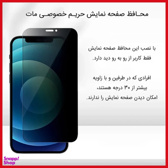محافظ صفحه نمایش گوشی موبایل پرایوسی ریمکس مناسب برای اپل iPhone 16