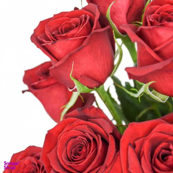 دسته گل رز هلندی قرمز هیمان کد Ro08