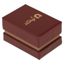 گوشواره طلا 18 عیار زنانه نواگلد مدل پنجه گربه کد 2020