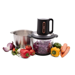 خردکن دانمور مدل DR-1013