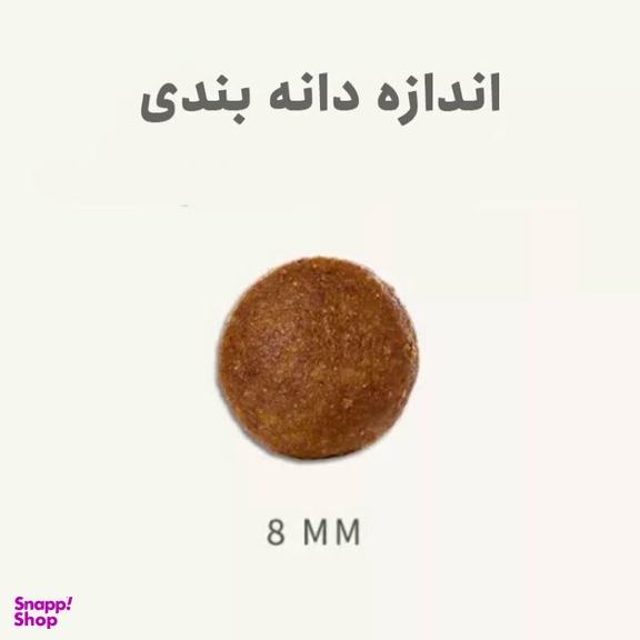 غذای خشک سگ بالغ بابین مدل Mini Breed وزن 2 کیلوگرم