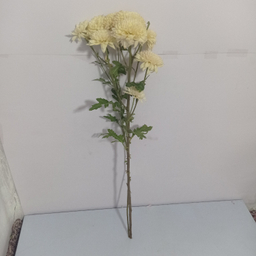 شاخه گل طبیعی داوودی کد 18