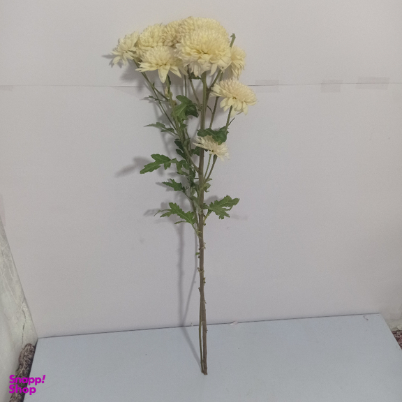 شاخه گل طبیعی داوودی کد 18