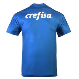 تیشرت ورزشی پسرانه مدل پالمیراس کد NK-3354 رنگ آبی