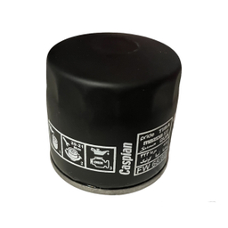 فیلتر روغن کاسپین مدل FW68/80 مناسب برای کوئیک