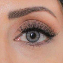 لنز فصلی بیوتی شماره 205 رنگ طوسی دور مشکی