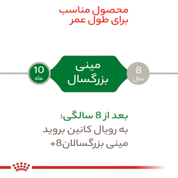 غذای خشک سگ رویال کنین مدل مینی ادالت وزن 2 کیلوگرم