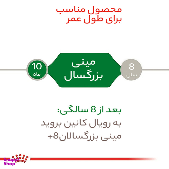 غذای خشک سگ رویال کنین مدل مینی ادالت وزن 2 کیلوگرم