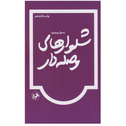 کتاب شلوارهای وصله دار نویسنده رسول پرویزی انتشارات امیرکبیر