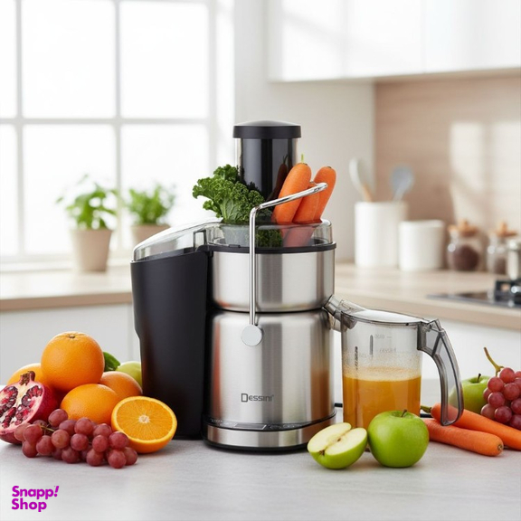 آبمیوه گیری 4 کاره دسینی مدل DS171