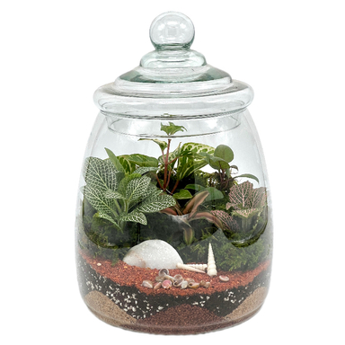 تراریوم مدل پرنیا سایز بزرگ