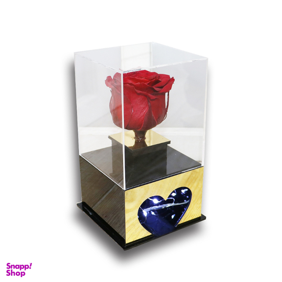 تندیس تمام پلکسی گل رز جاودان قرمز مدل LED دار