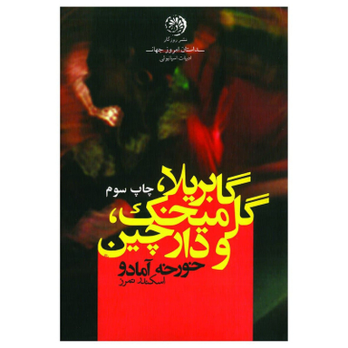 کتاب گابریلا گل میخک، دارچین اثر خورخه آمادو نشر روزگار