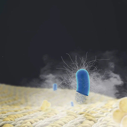 اتوبخار میجیا مدل ZYGTJ01KL