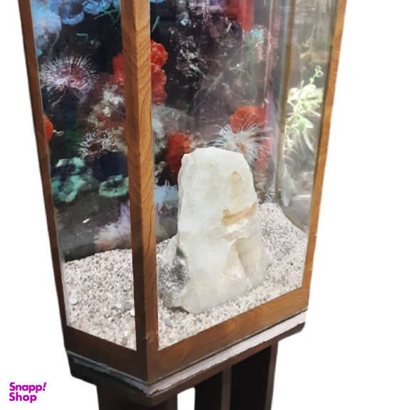آکواریوم کارپ مدل چینی طرح karp-t30ch