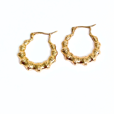 گوشواره طلا 18 عیار زنانه مدل اکوا