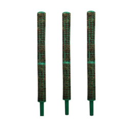 قیم خزه دار کد 02 بسته 3 عددی