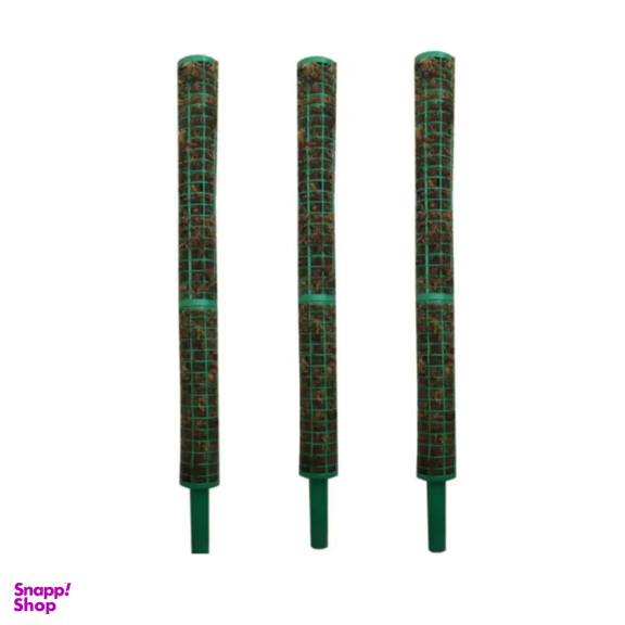 قیم خزه دار کد 02 بسته 3 عددی