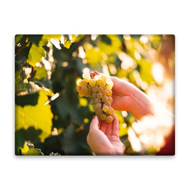 کاشی اطلس آبی طرح درخت و خوشه انگور مدل T1939