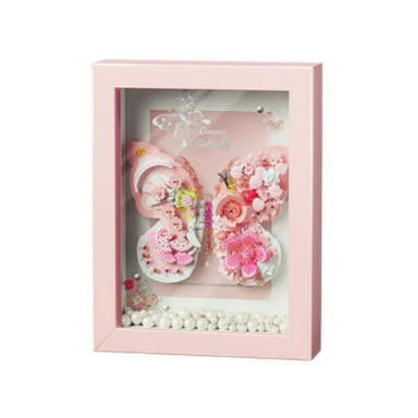 ساختنی مدل مینی قاب پروانه کد 804232