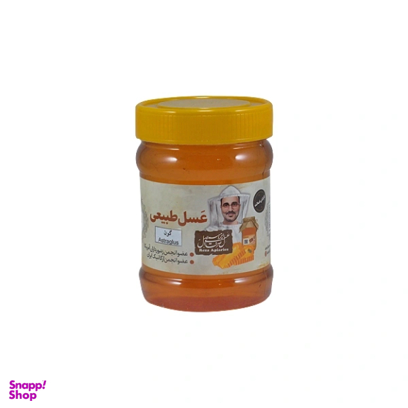 عسل گون طبیعی رضا وزن 470 گرم