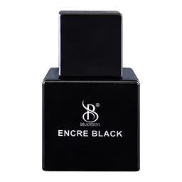 عطر جیبی مردانه برندینی مدل ENCRE NOIRE