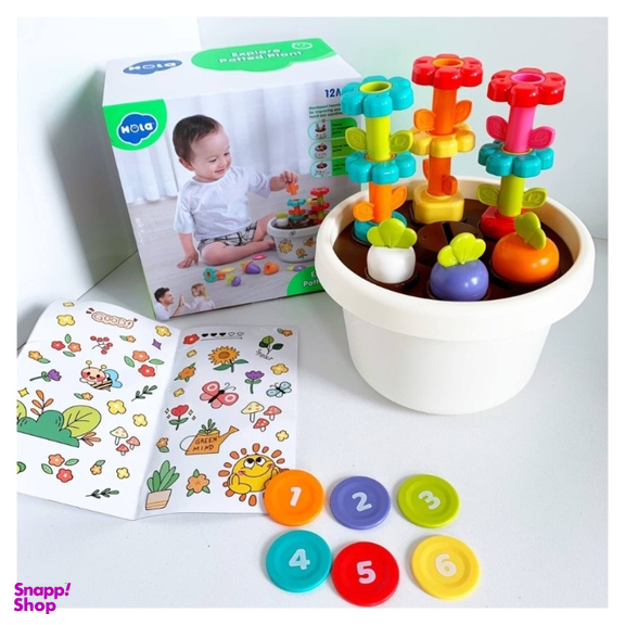 بازی آموزشی گلدان هوش هولا کد 795800