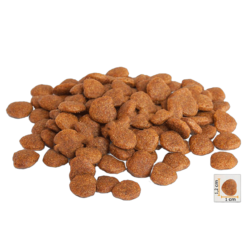 غذای خشک گربه بالغ بوناسیبو مدل مرغ و ماهی وزن 2 کیلوگرم