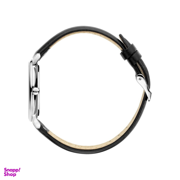 ساعت مچی عقربه ای مردانه دنیش دیزاین (Danish Design) مدل Iq13q1175