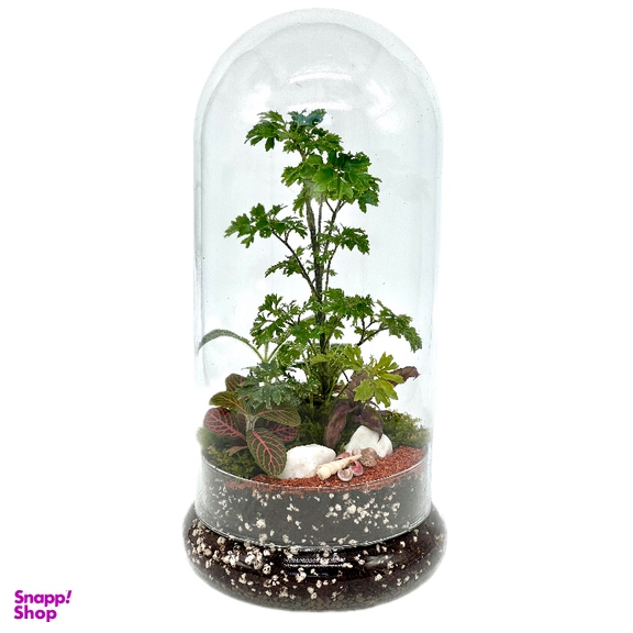 تراریوم مدل فلکسی بلند