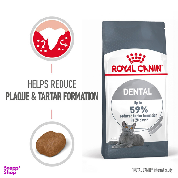 غذای خشک گربه رویال کنین مدل دنتال کری کد 124 وزن 1.5 کیلوگرم