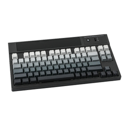 کیبورد بی سیم مخصوص بازی ایپومیکر مدل Epomaker DynaTab 75X