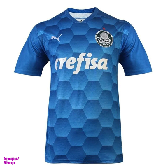 تیشرت ورزشی پسرانه مدل پالمیراس کد NK-3354 رنگ آبی