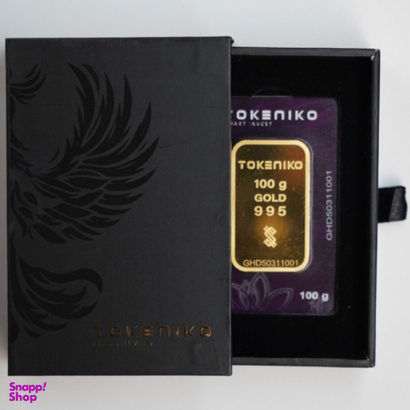 شمش طلا 24 عیار توکنیکو کد 01