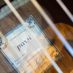 گیتار کلاسیک پارسی مدل M6